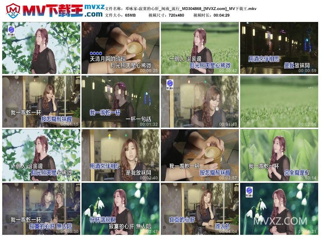 邓咏家-寂寞的心肝_闽南_流行_MD304868